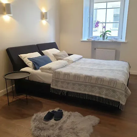 Apartman Cosy & Spacious 2 Bdr, 85 M2 ,old Town Vilnius