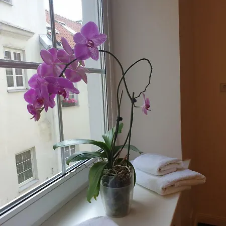 Cosy & Spacious 2 Bdr, 85 M2 ,old Town Apartman Vilnius